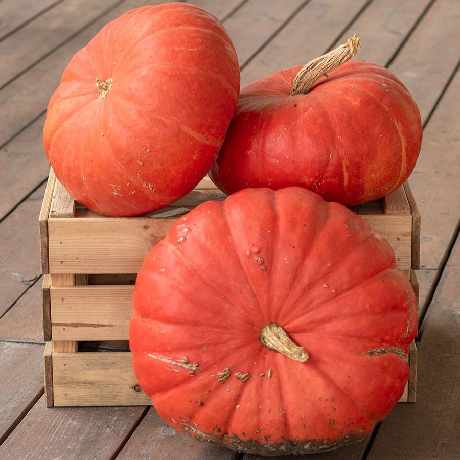 Rouge Vit d' Etampes